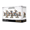 STORMCAST ETERNALS: SEQUITORS