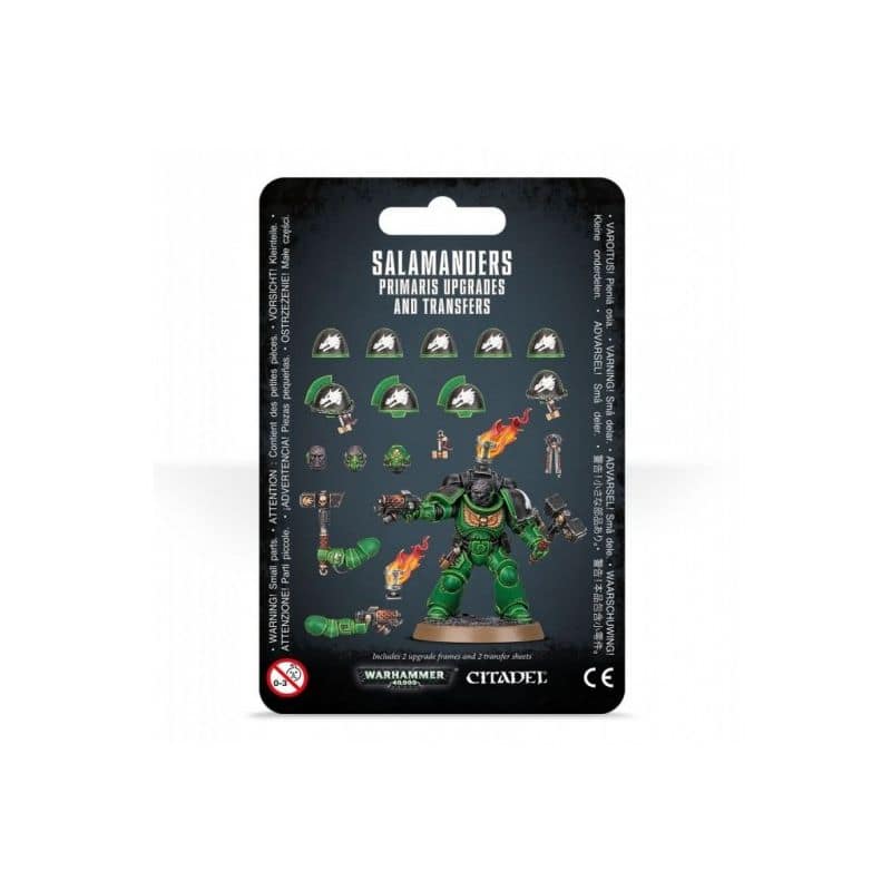 SALAMANDERS: IMPROVEMENTS AND DECALOMANI SALAMANDERS: IMPROVEMENTS AND DECALOMANI
