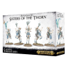 Sisters of Thorn