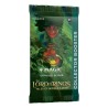 MTG: Lord of the Rings: Tales of Middle-Earth Collector Booster  (Anglais)