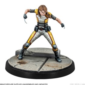 X-23 & HONEY BADGER