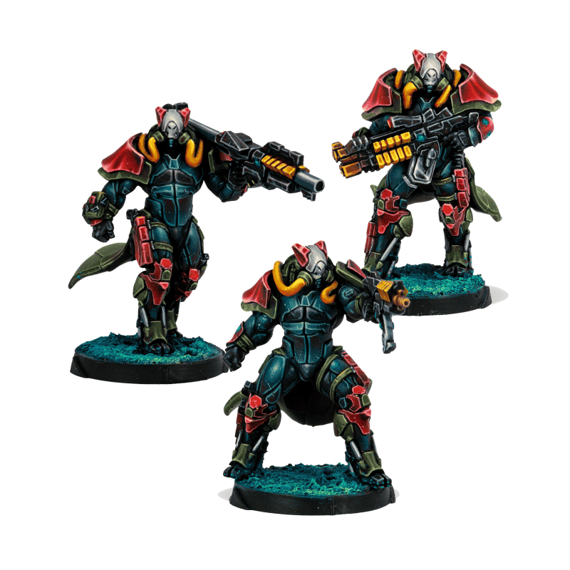 Rodoks, Armed Imposition Detachment Rodoks, Armed Imposition Detachment