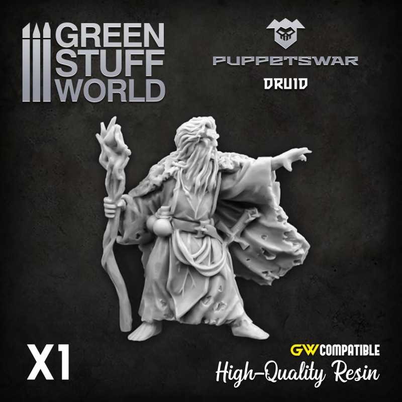Druide Druide