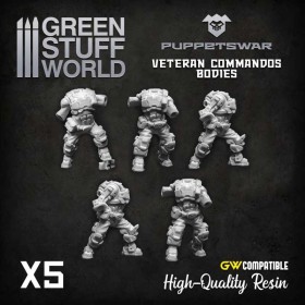 Corps Commando des vétérans