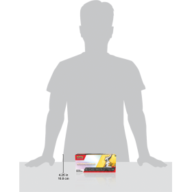 Pokémon : Kit de Construction Dresseur 2023 À paraître 19 juin 2023