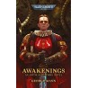 AWAKENINGS (PB)