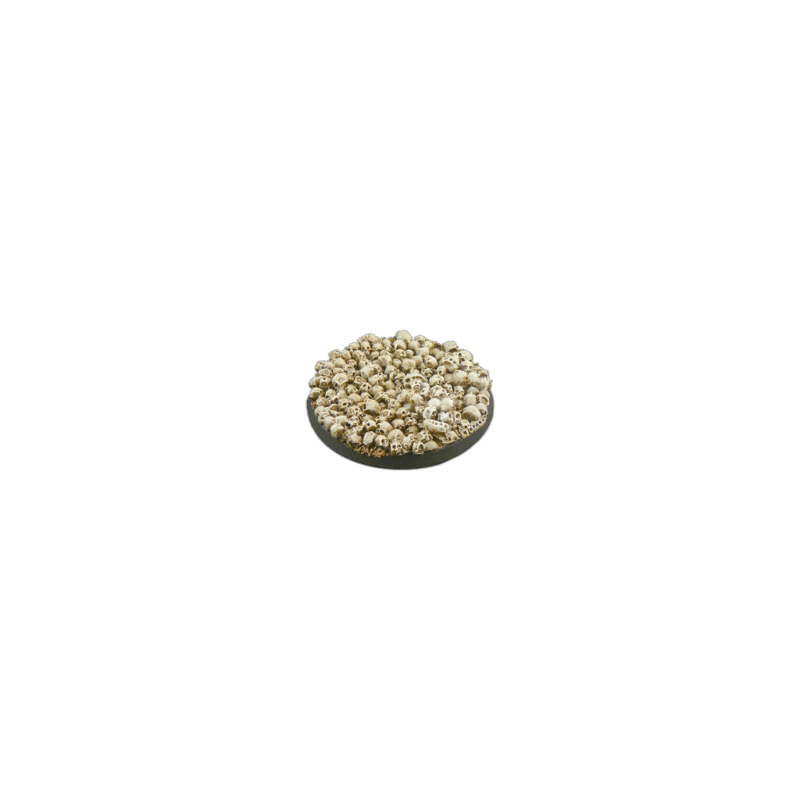 Skulls Bases, Round 60mm (1)