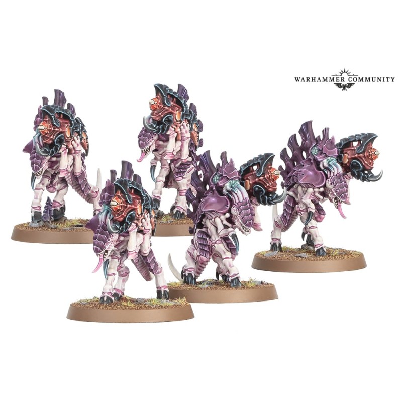 ESPINOGANTES BARBGAUNT ESPINOGANTES BARBGAUNT