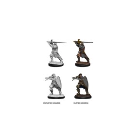 Human Paladin - D&D...
