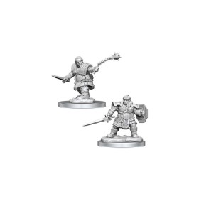 Dwarf Fighter - D&D...