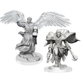 Aasimar Cleric Male (PACK...
