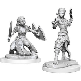 Shifter Fighter (PACK OF...