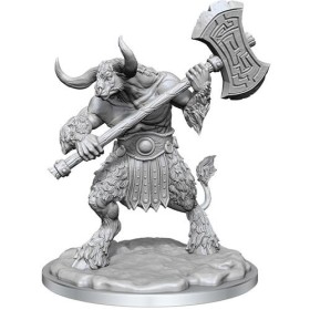 Minotaur: D&D Frameworks (W1)