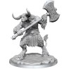 Minotaur: D&D Frameworks (W1)