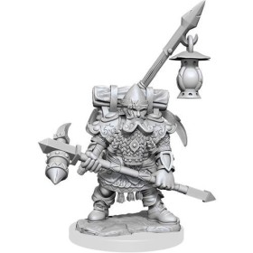 Dwarf Fighter Male: D&D...