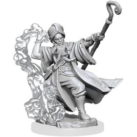Human Wizard Male: D&D...