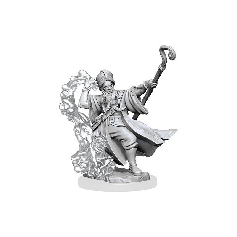 Human Wizard Male: D&D Frameworks (W1) Human Wizard Male: D&D Frameworks (W1)