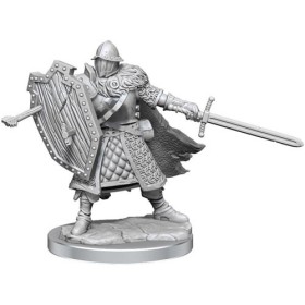 Human Fighter Male: D&D...