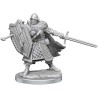 Human Fighter Male: D&D Frameworks (W1)