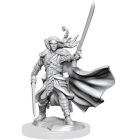 Elf Ranger Male: D&D...