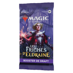 MTG : LES FRICHES D'ELDRAINE STARTER KIT EN (12)