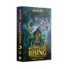 BAD LOON RISING (PB)