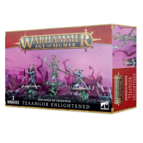 TZEENTCH ARCANITES TZAANGOR...