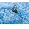TAPIS DE JEU NEOPRENE ICE PLANET 3X6