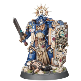 CAPTAIN WITH STORM SHIELD