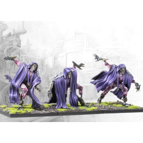 City States: Inquisitors