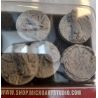 SWL FORESTBASES 27MM (5)