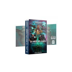 LA MER DES MES (FRANCAIS)