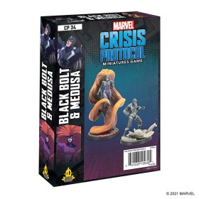 Black Bolt and Medusa