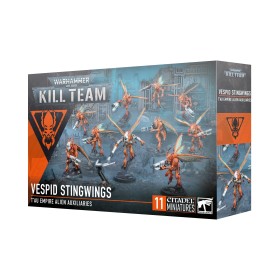 KILL TEAM DE FRELONS...