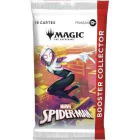 SPIDER-MAN COLLECTOR DISPLAY MAGIC FR