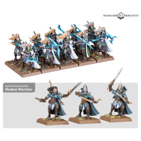 HIGH ELF REALMS: SISTERS OF...