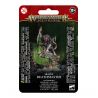 SKAVEN: MAITREMORT