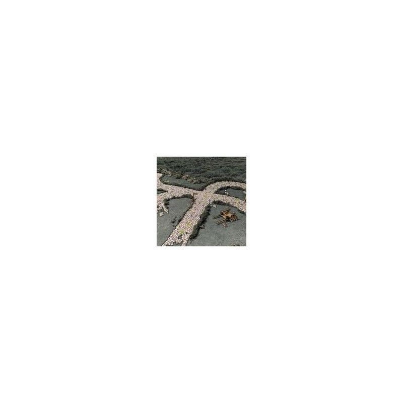 Roads & Rivers Roads & Rivers