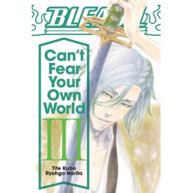 BLEACH - Can't Fear Your Own World - Roman - Tome 3