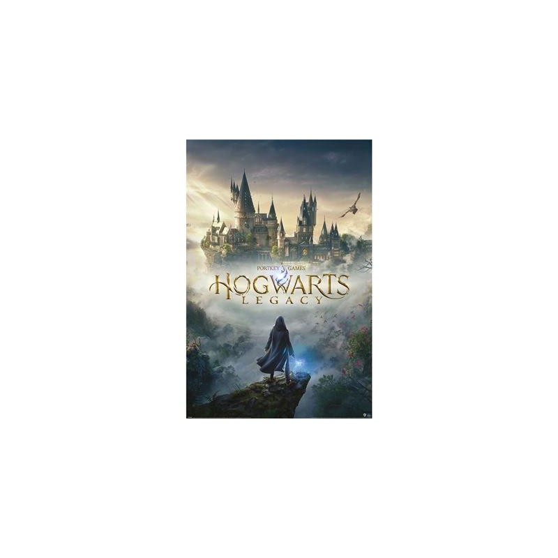 HOGWARTS LEGACY - Wizarding World Universe - Poster 61 x 91cm HOGWARTS LEGACY - Wizarding World Universe - Poster 61 x 91cm