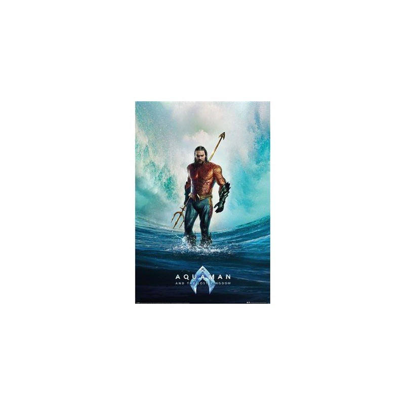 AQUAMAN ET LE ROYAUME PERDU - Tempête - Poster 61 x 91cm AQUAMAN ET LE ROYAUME PERDU - Tempête - Poster 61 x 91cm