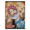 FAIRY TAIL - Natsu & Happy - Plaid en polaire 100x140cm