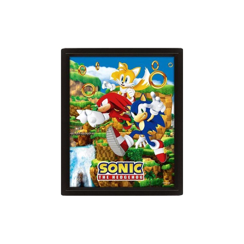 SONIC - Catching Rings - Poster lenticulaire 3D 26x20cm SONIC - Catching Rings - Poster lenticulaire 3D 26x20cm