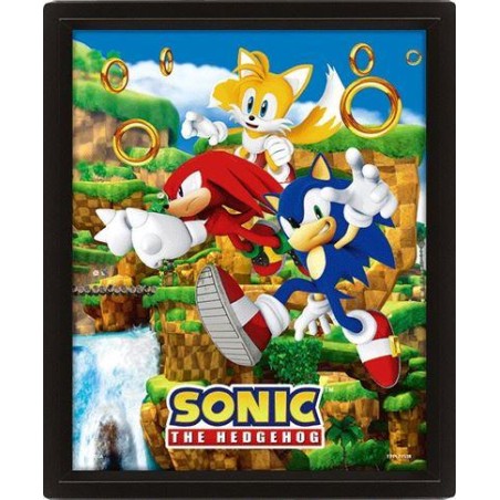 SONIC - Catching Rings - Poster lenticulaire 3D 26x20cm