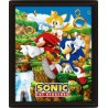SONIC - Catching Rings - Poster lenticulaire 3D 26x20cm