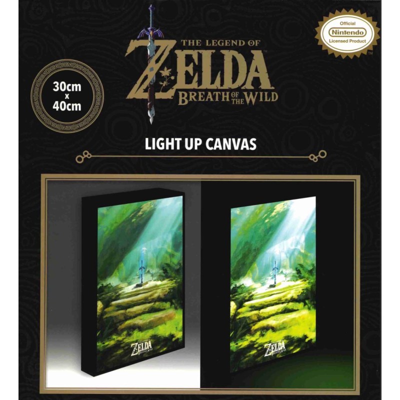 THE LEGEND OF ZELDA - Master Sword - Canvas Lumineux 40X30 Cm THE LEGEND OF ZELDA - Master Sword - Canvas Lumineux 40X30 Cm