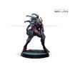 Infinity Code One - Shasvastii Action Pack