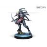 Infinity Code One - Shasvastii Action Pack