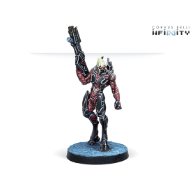 Infinity Code One - Shasvastii Action Pack
