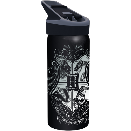 HARRY POTTER - Bouteille Premium en Aluminium - Format 710ml